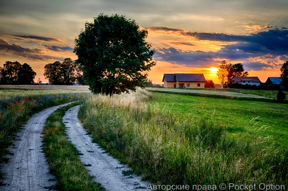 Деревенская природа успокаивает