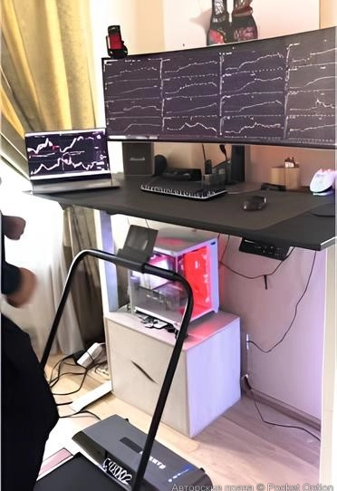 стиль жизни