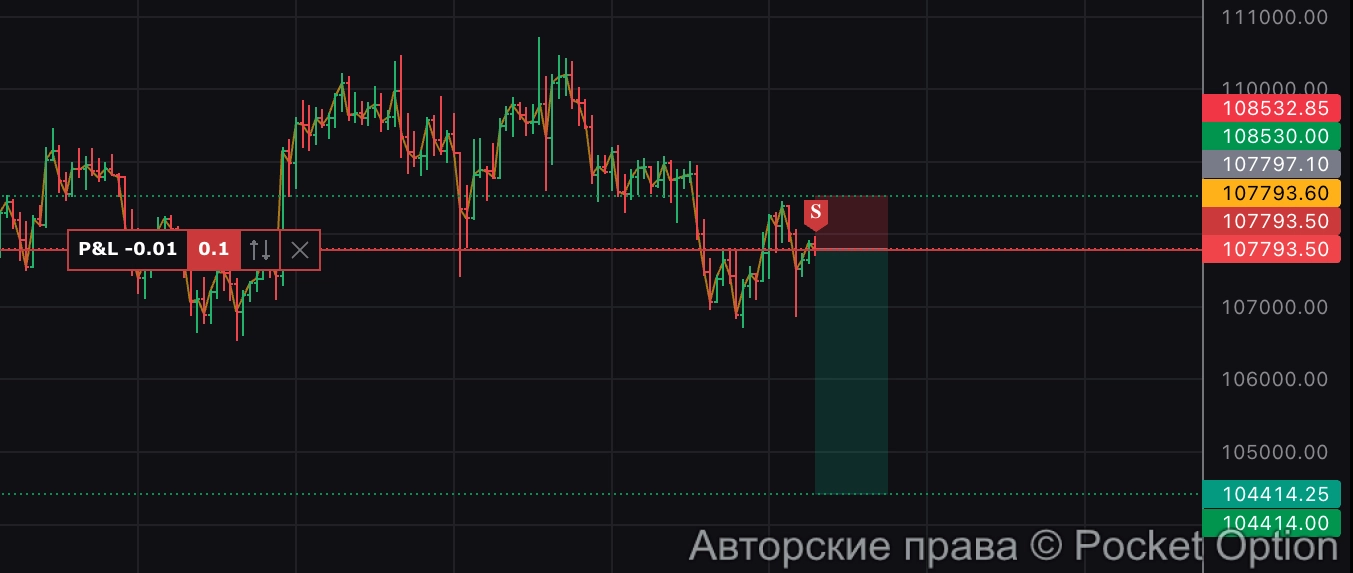 биток в шорт