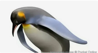 63bf2edf45ba4a6ac4defd30fdb7849dcae66ce9