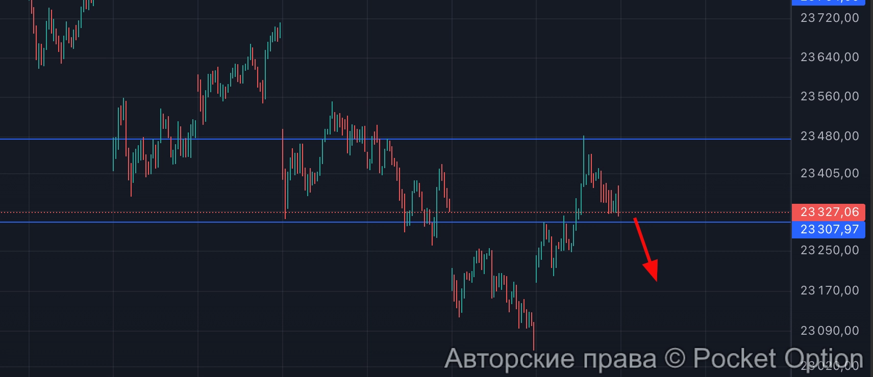 дакс в шорт