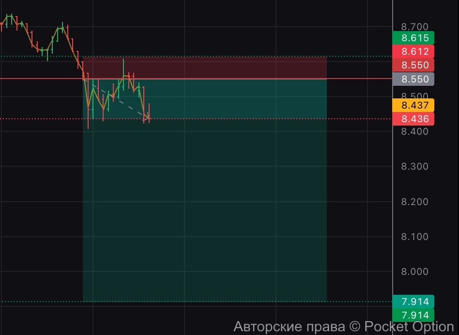 трампкоин шорт