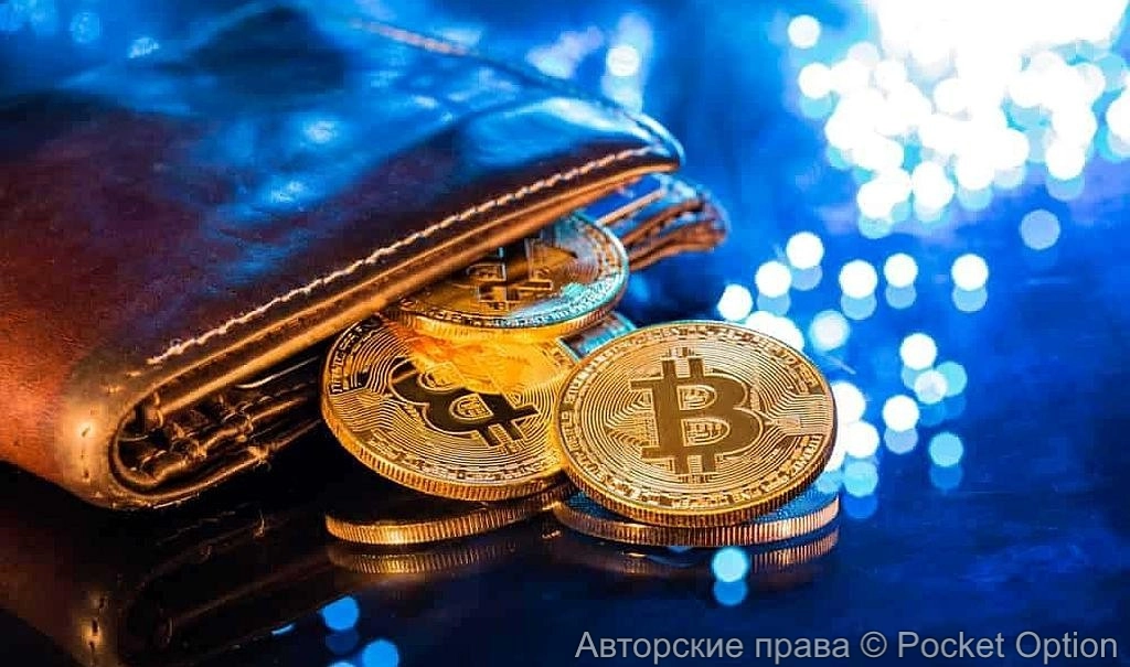 Спящий кошелек заработал