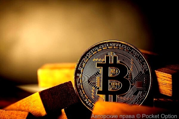 Биткоин растет что же будет дальше