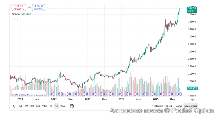 график на 24 09