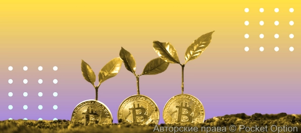 биткоин монеты22