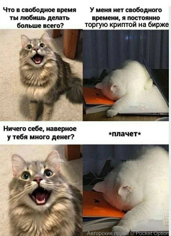 реальность