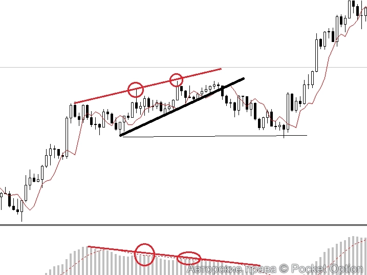 дивер тренд