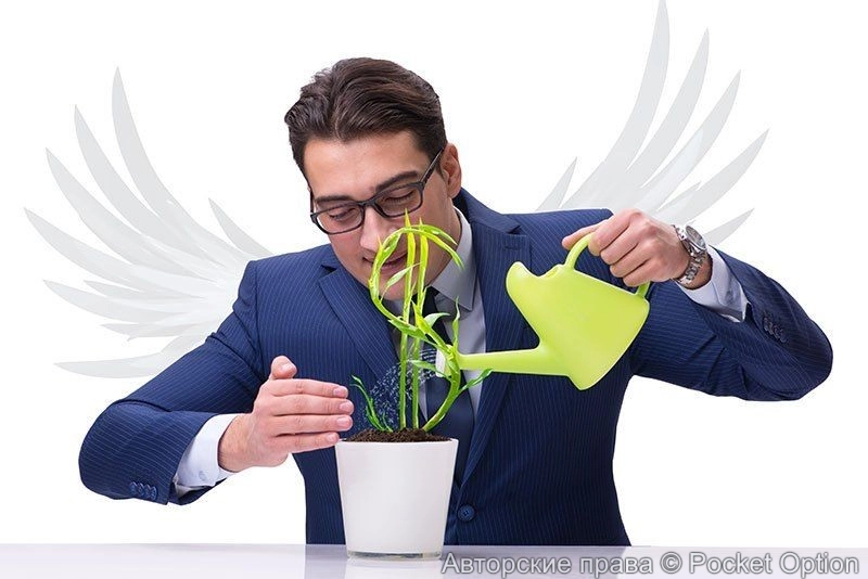 1904b02351e84a8ff5f827c79a764647