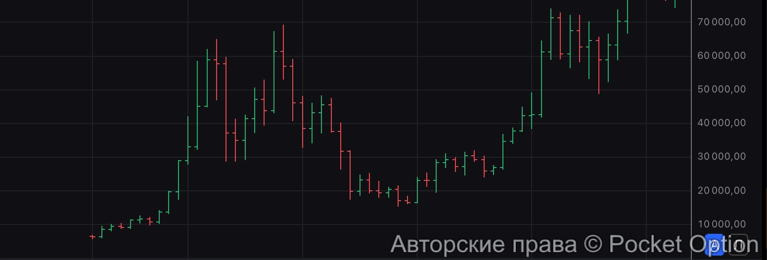 медвежка в битке