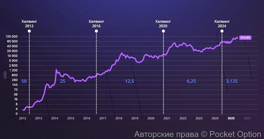 Халвинг биткоина