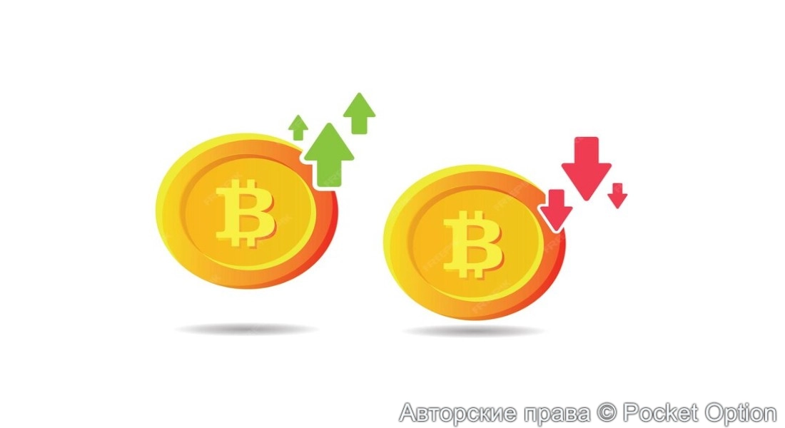 куда пойдет