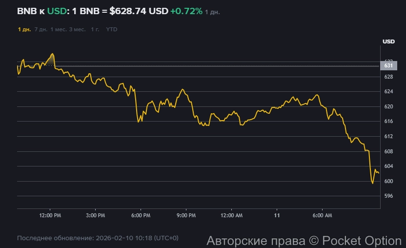 Падение BNB