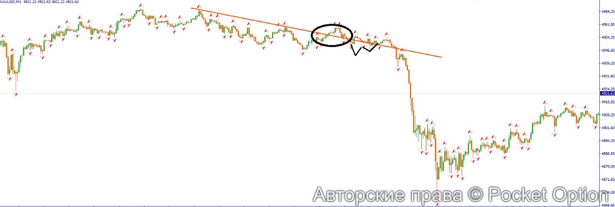 трендовая м5.