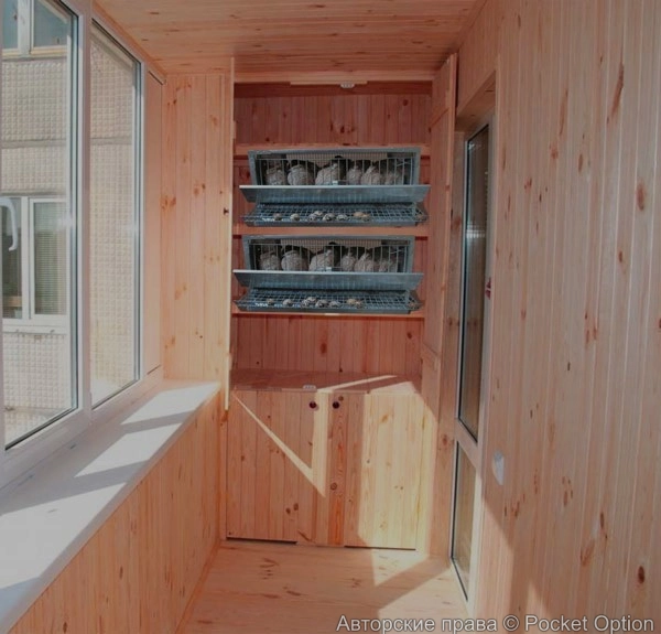 Разведение птиц