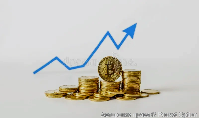 Рост крипты