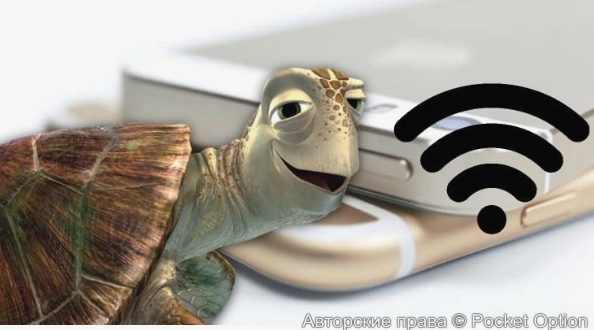 изображение_2025-01-26_144628468