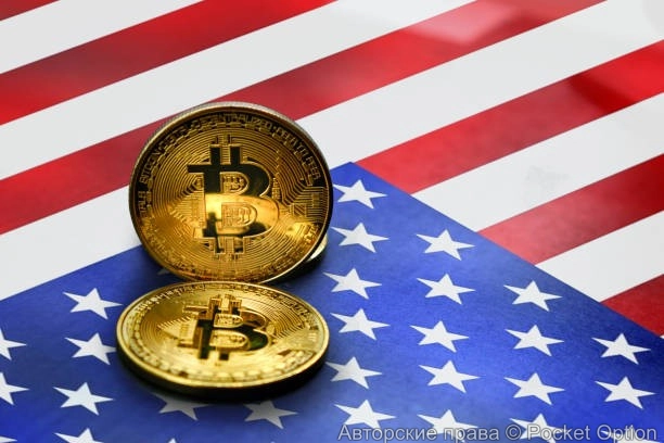 криптофонд 6