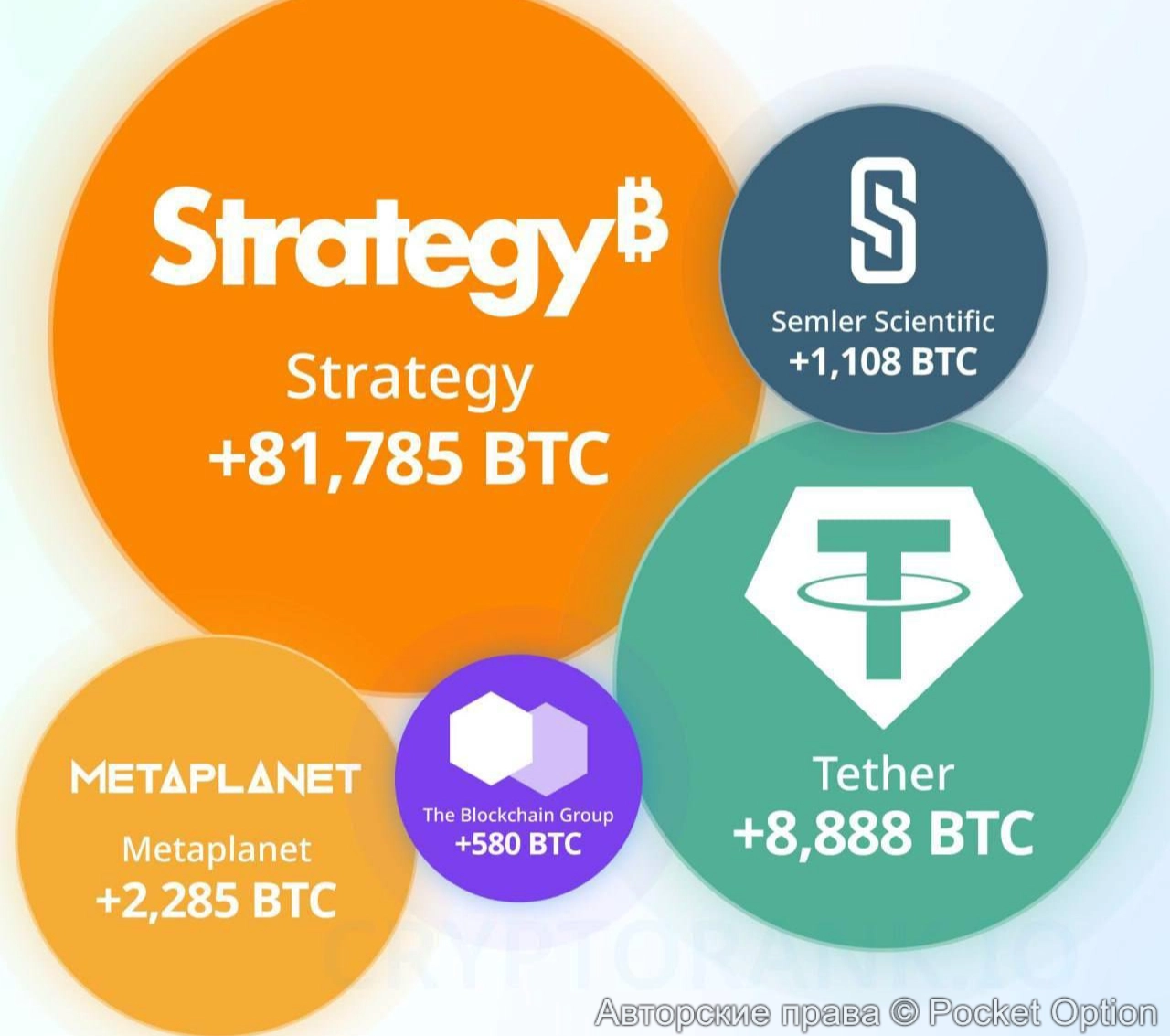 покупатели